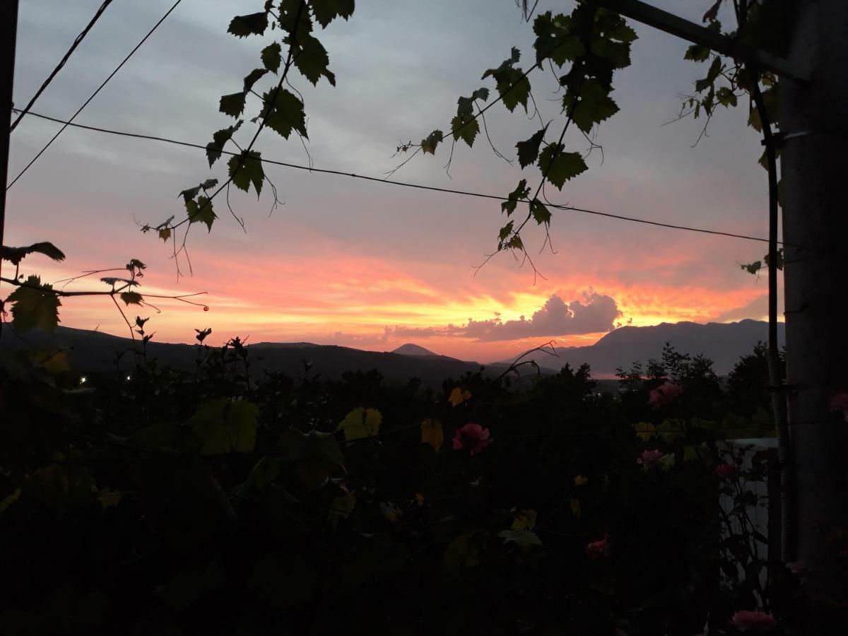 Apartman Laki Appartement Kotor Buitenkant foto